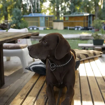 ホテル Dane Gokova 3*