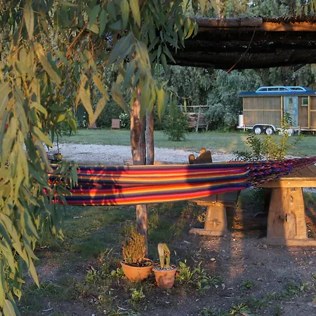 Dane Gokova ホテル Akcapinar (Mugla)