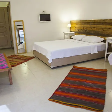 ホテル Dane Gokova