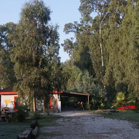 Dane Gokova Akcapinar (Mugla)